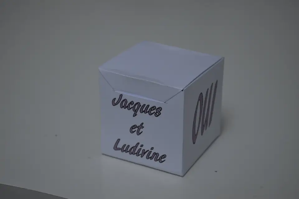 P'tite Lulu Events — photo 8