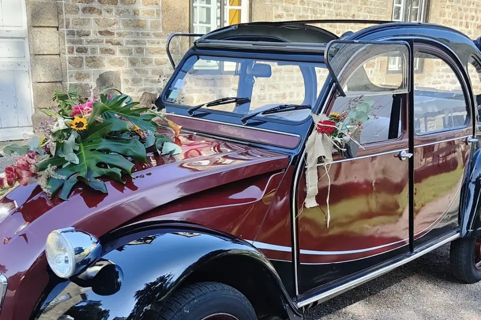 Rivbird Locations — photo 9