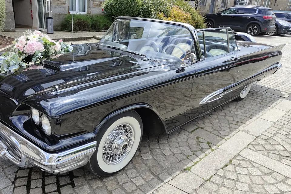 Rivbird Locations — photo 4