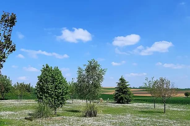 Domaine de La Pépinière — photo 6