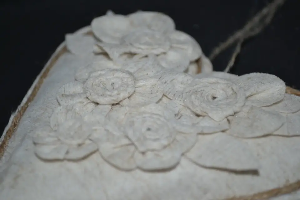 L'atelier de Zénobie — photo 3