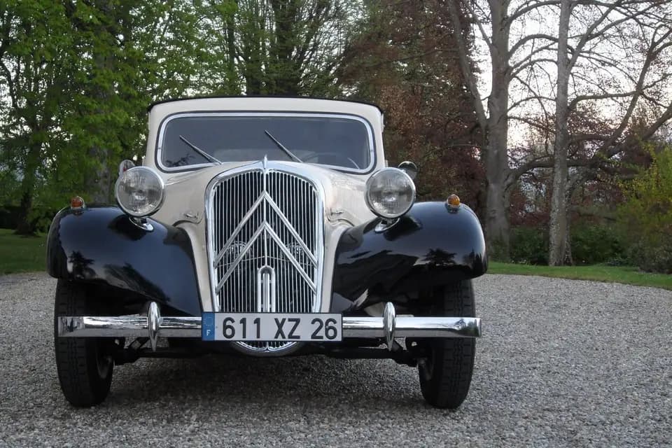 Monsieur Pingouin — photo 2