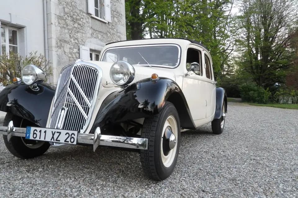 Monsieur Pingouin — photo 3