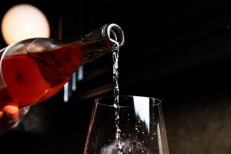 Vins-Pro — photo 2