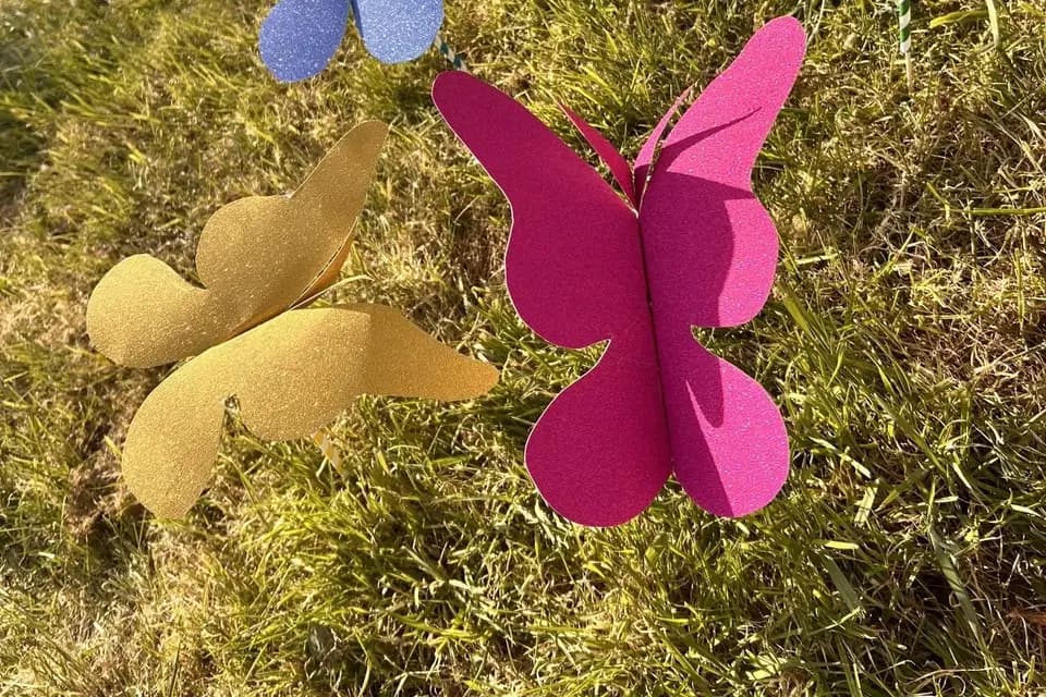 Chely Animations — photo 7