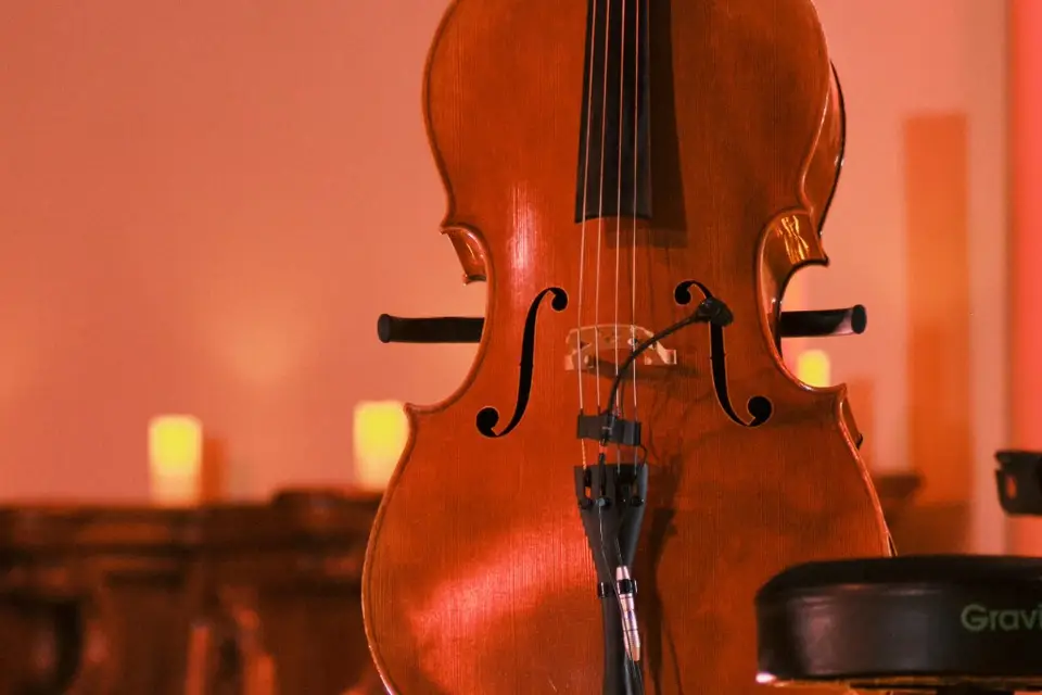 Melo Cello — photo 7