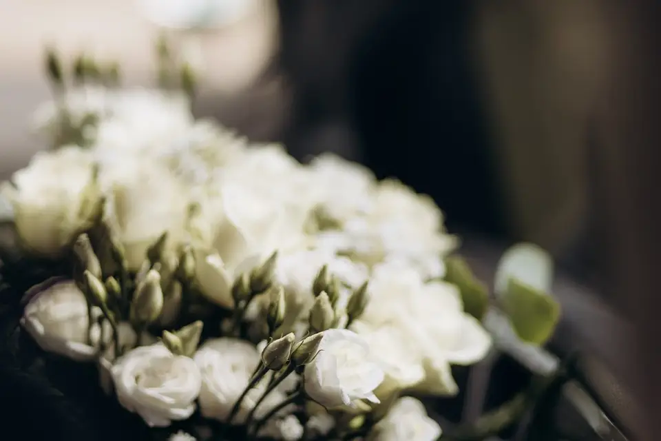 Pauline Barbaut Photographie — photo 8