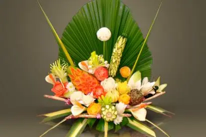 Primeur Designer — photo 4