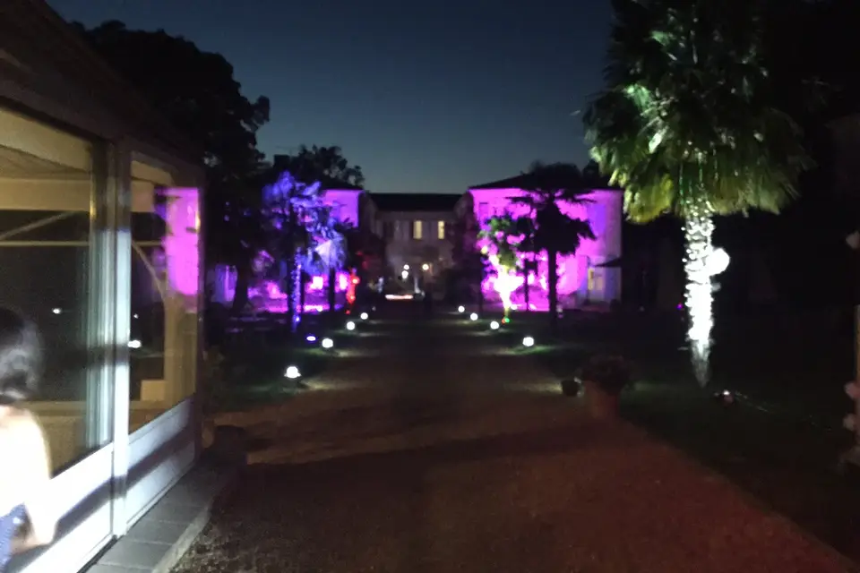 Alex Sono — photo 3