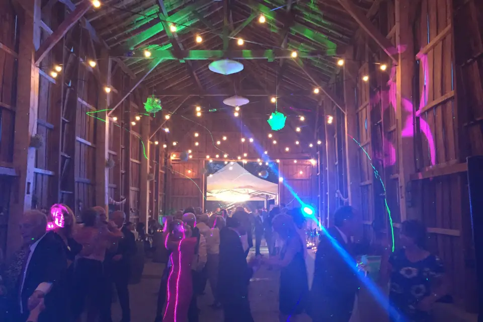 Alex Sono — photo 2