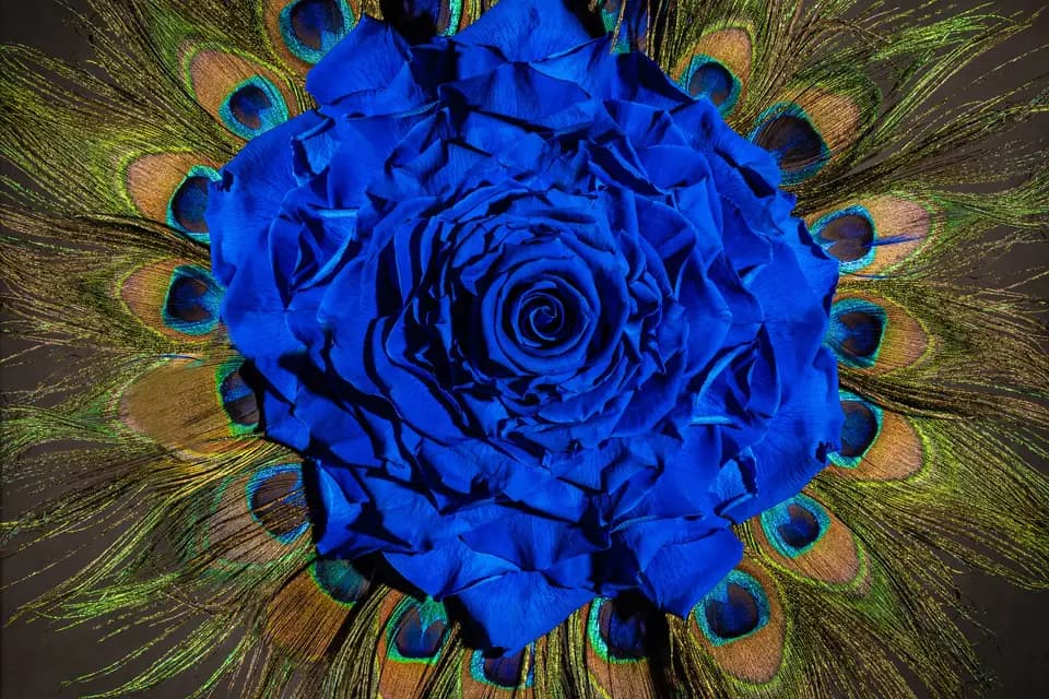 Atelier, coeur de marie — photo 1