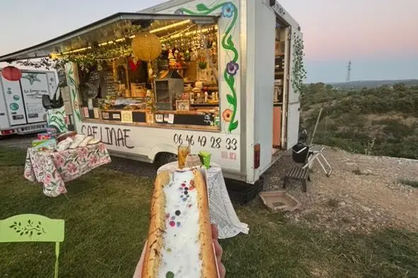 Caelinae — photo 5