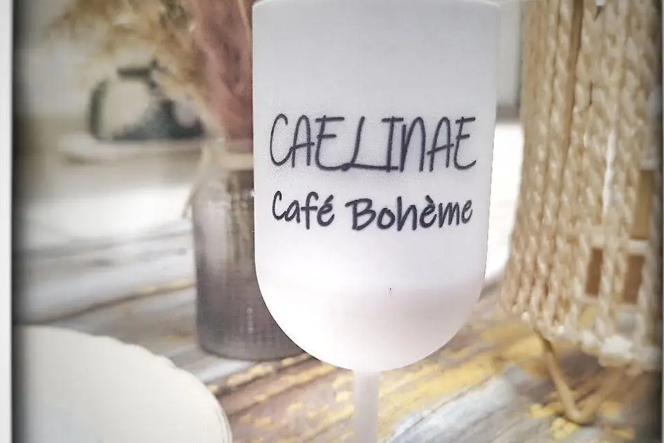 Caelinae — photo 1