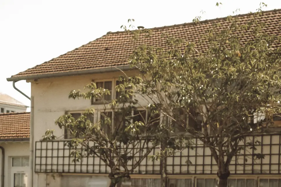 Joanna Llambias Evènements — photo 5