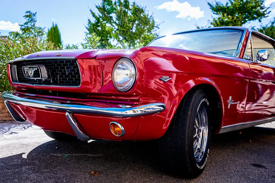 Anthony Basso — photo 1