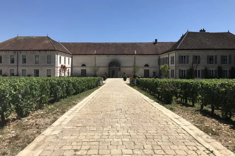 Château de Chassagne-Montrachet — photo 1