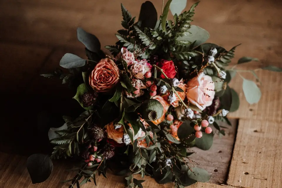 Fleurs de Céléno — photo 1