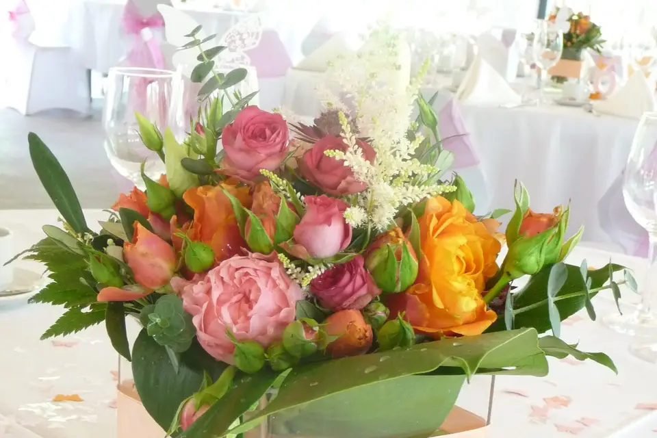 Fleurs de Céléno — photo 8