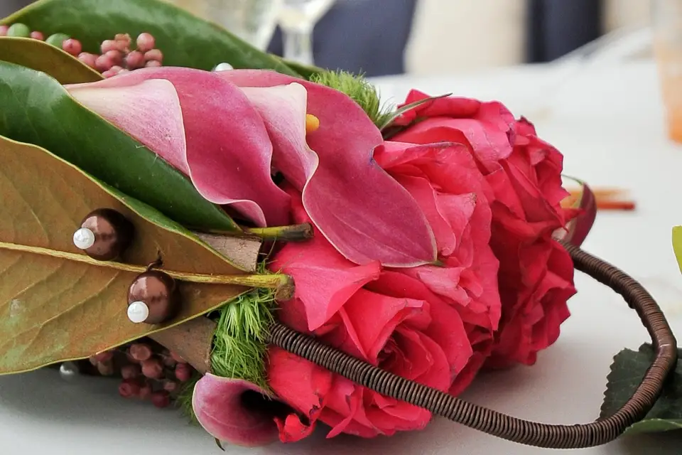 Laetitia Riehl Photographe — photo 3