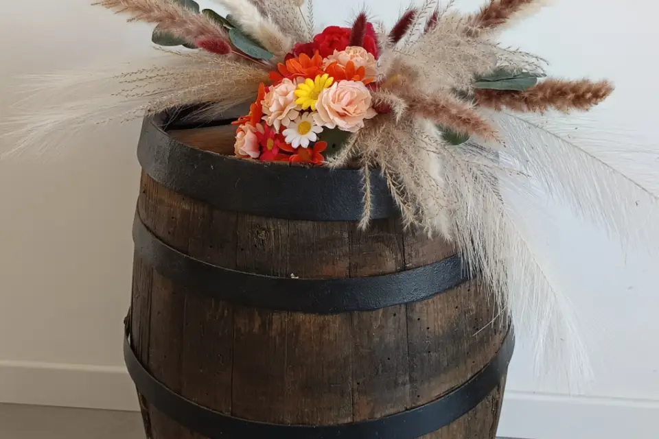 Noco Event's — photo 4