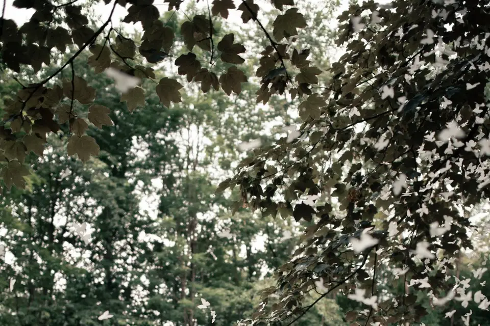 Rêve coloré — photo 2