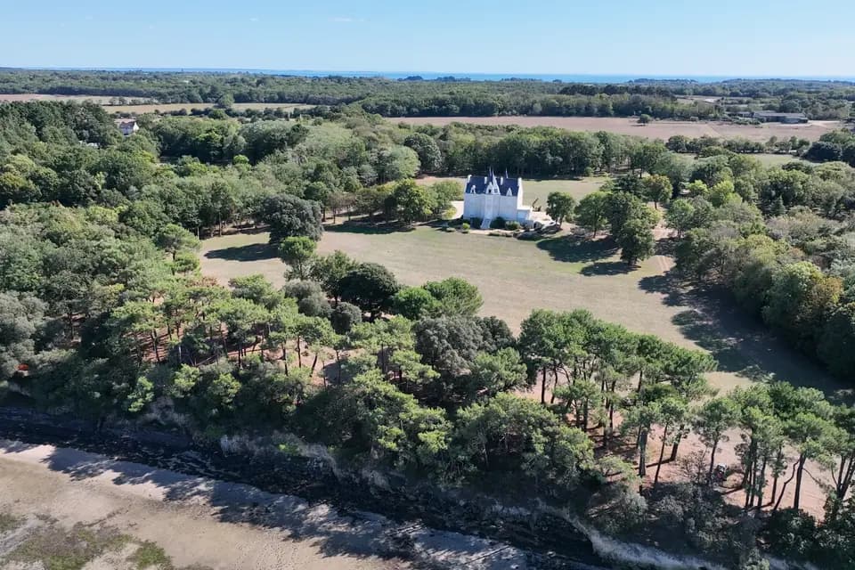 Acedrone — photo 2