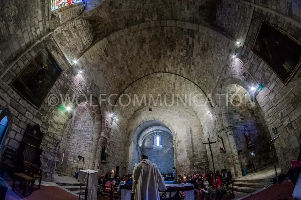 Wolf Com — photo 5