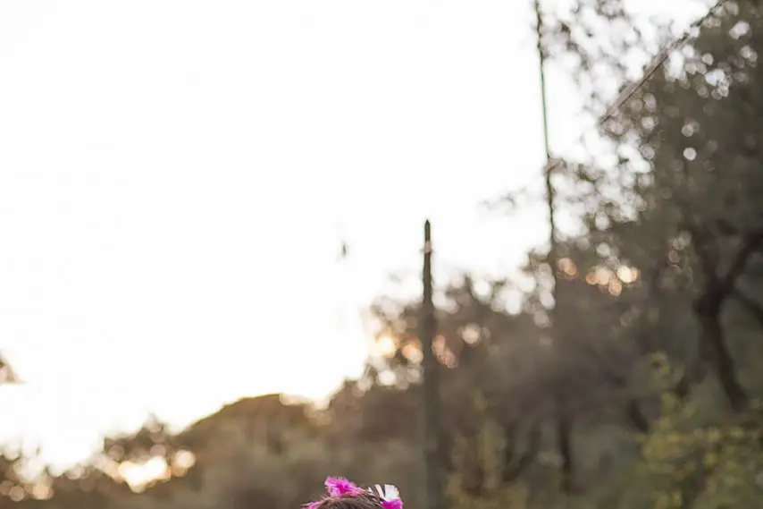 Wolf Com — photo 8