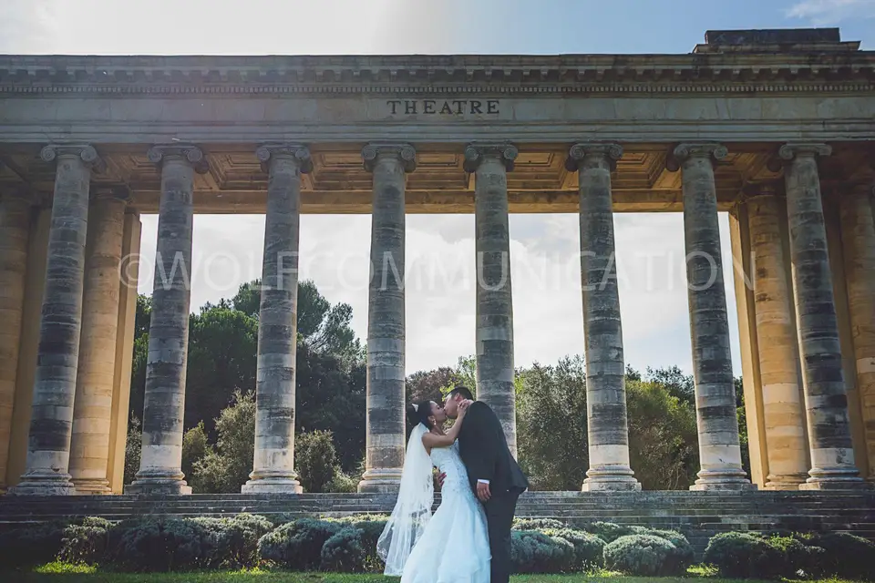 Wolf Com — photo 3