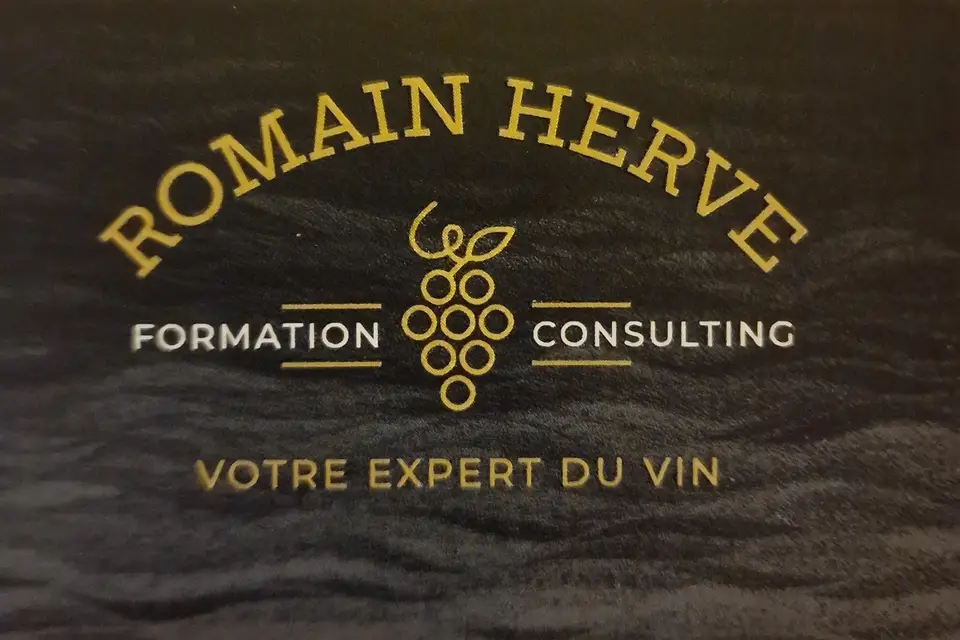 Herve Romain — photo 5