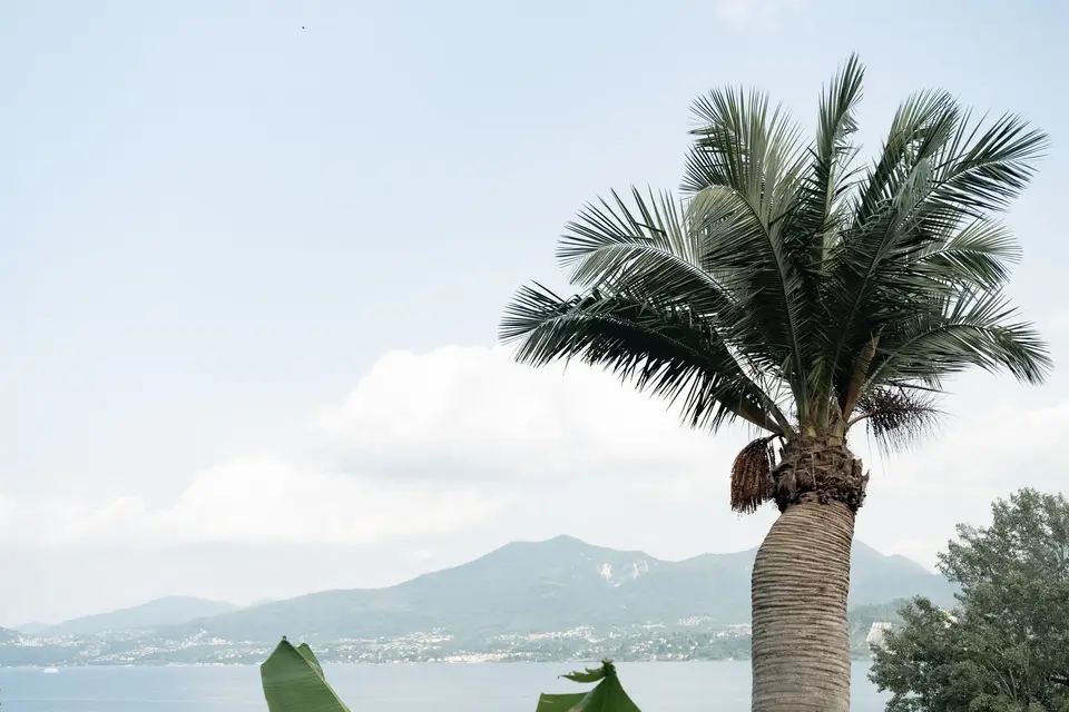 Bagrada Photos — photo 3