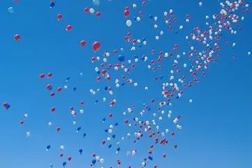 Aquitaine Animation Evênementiel — photo 5