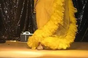 Aquitaine Animation Evênementiel — photo 6