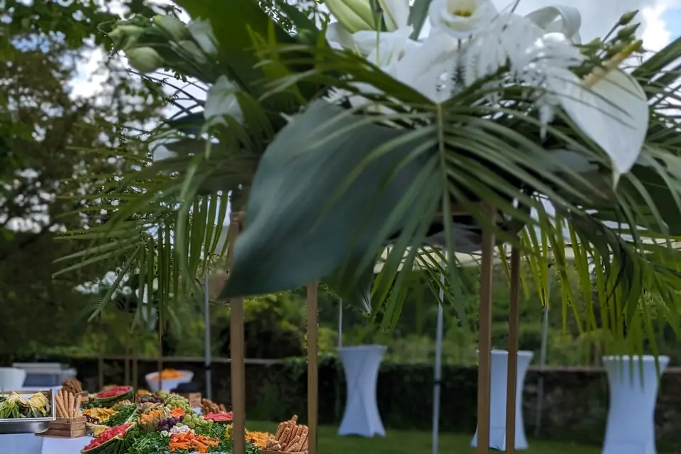 Cuba Evenements — photo 5