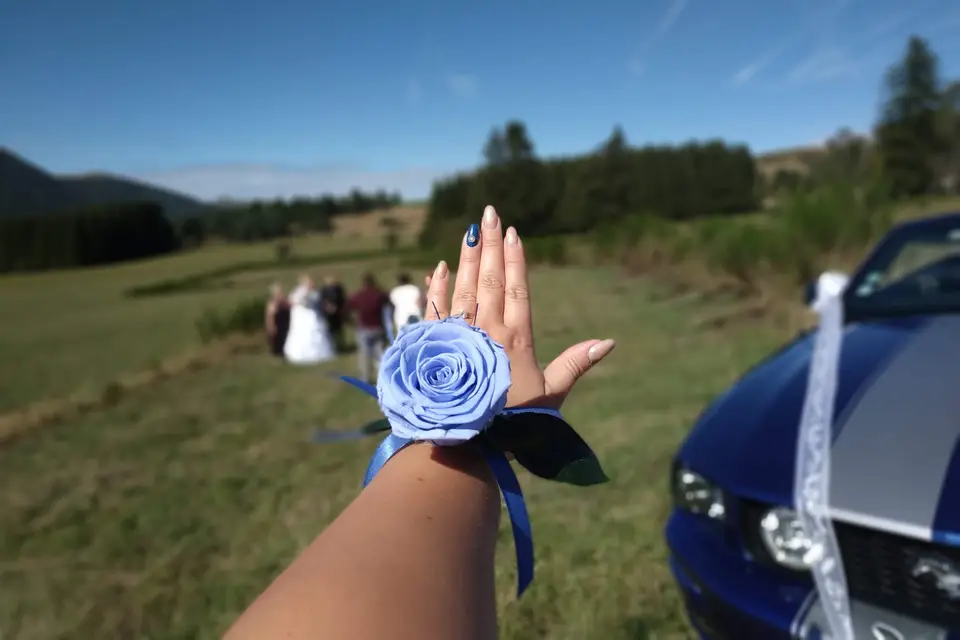 Onglerie du Lotus — photo 3