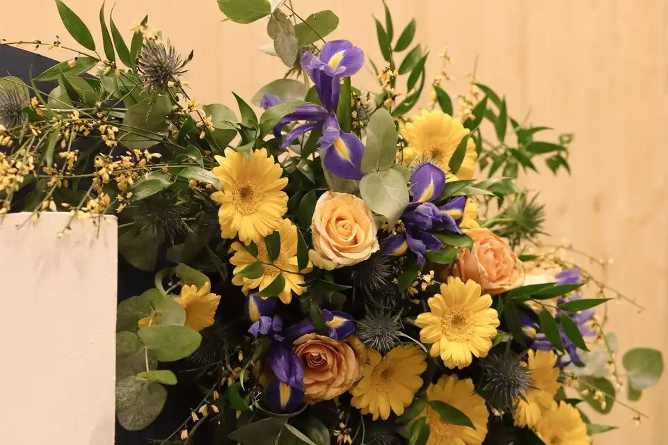 Milky Events — photo 4