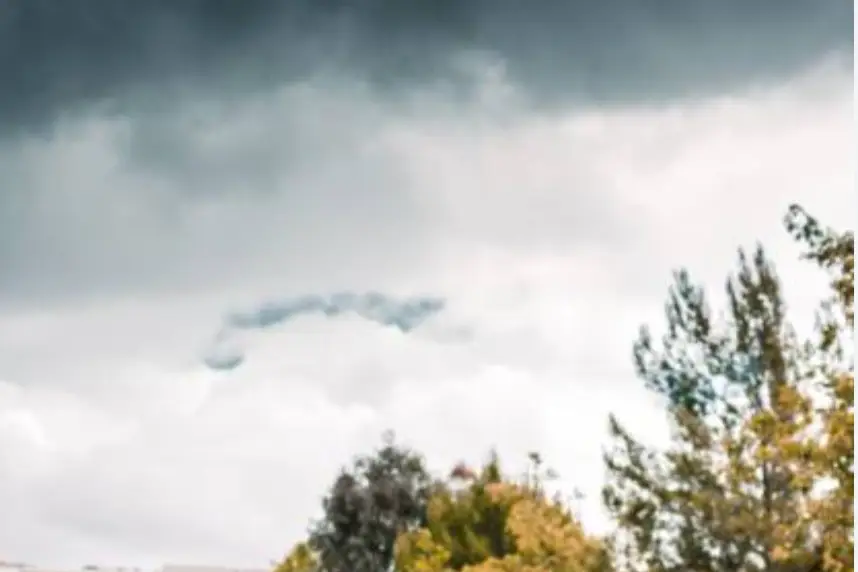 Quality Carent 33 — photo 1