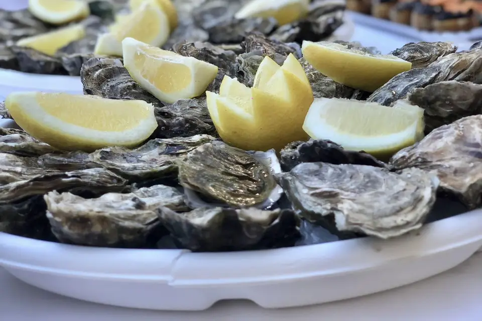 Saumon Champenois — photo 5