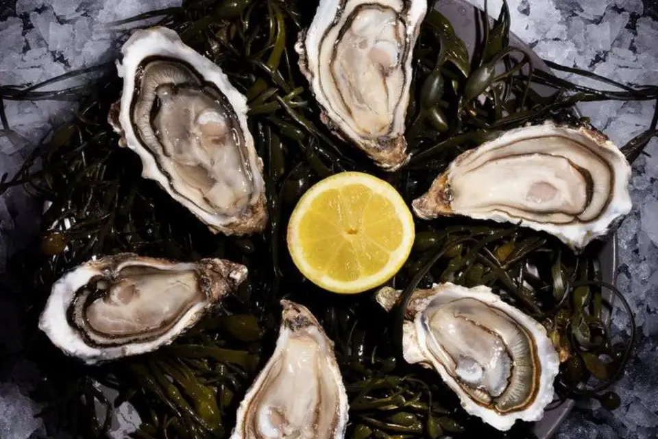 Saumon Champenois — photo 2