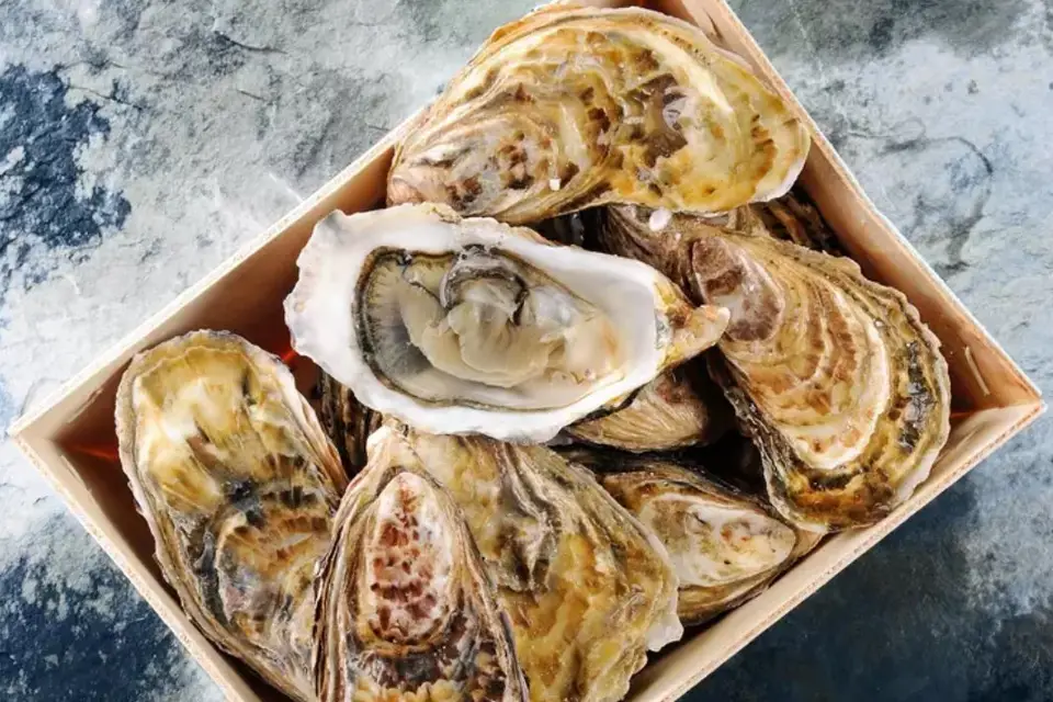 Saumon Champenois — photo 1