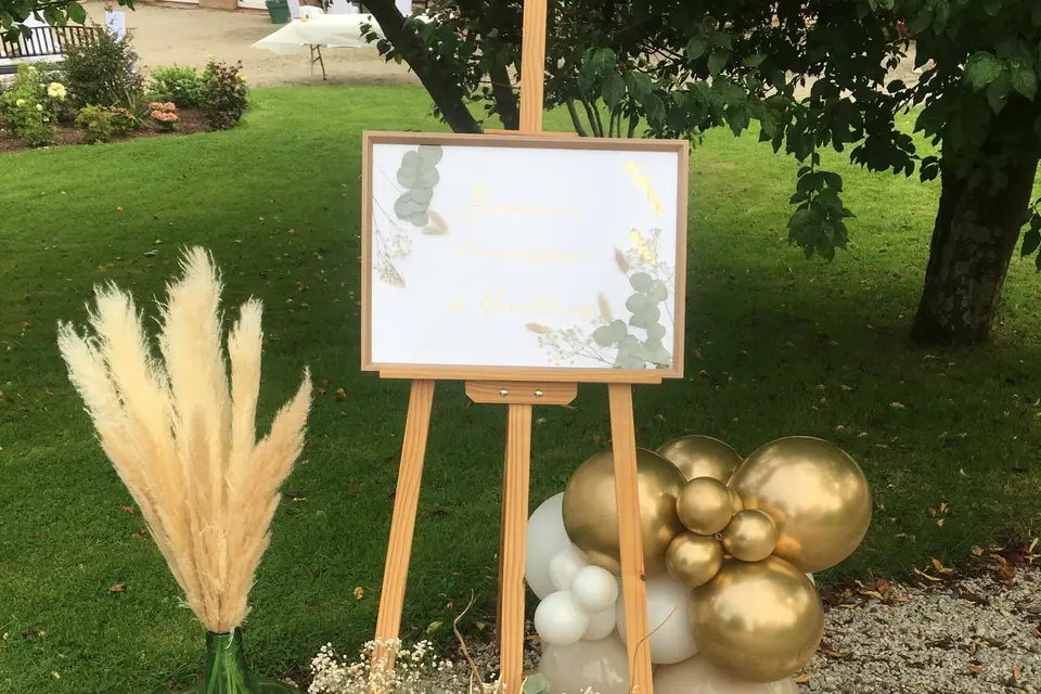 Mon Univers Ballons — photo 8