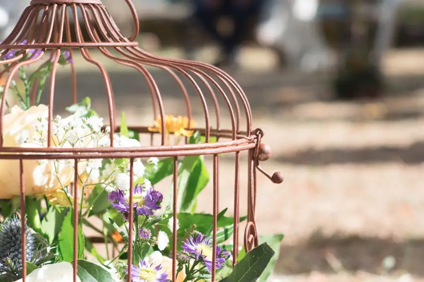 Stéphanie Brault — photo 1