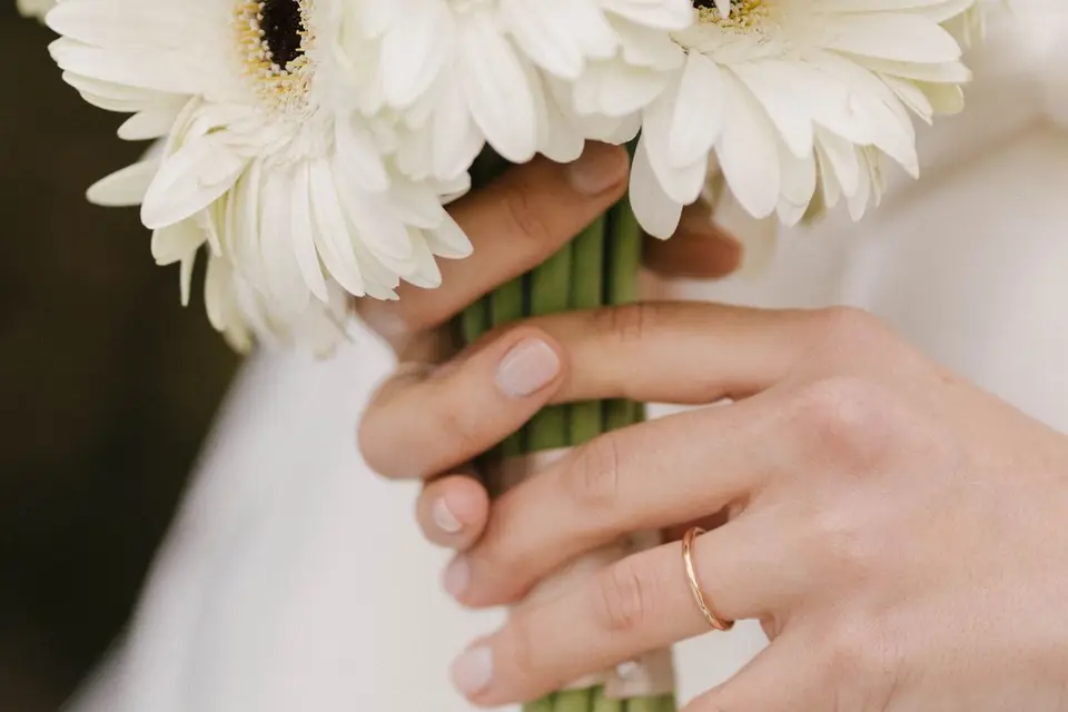 Velvet Signature — photo 9