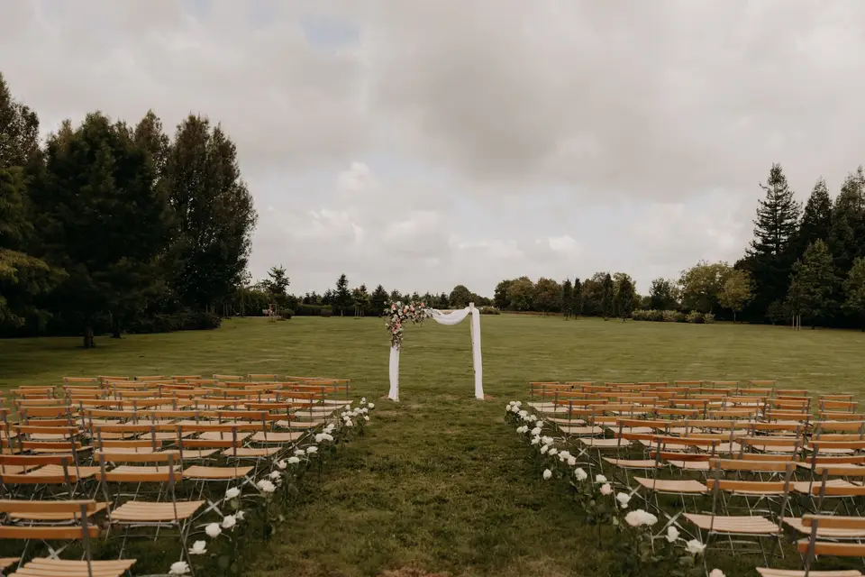 Velvet Signature — photo 4