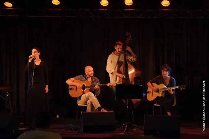 Gipsy Swing Quartet — photo 3