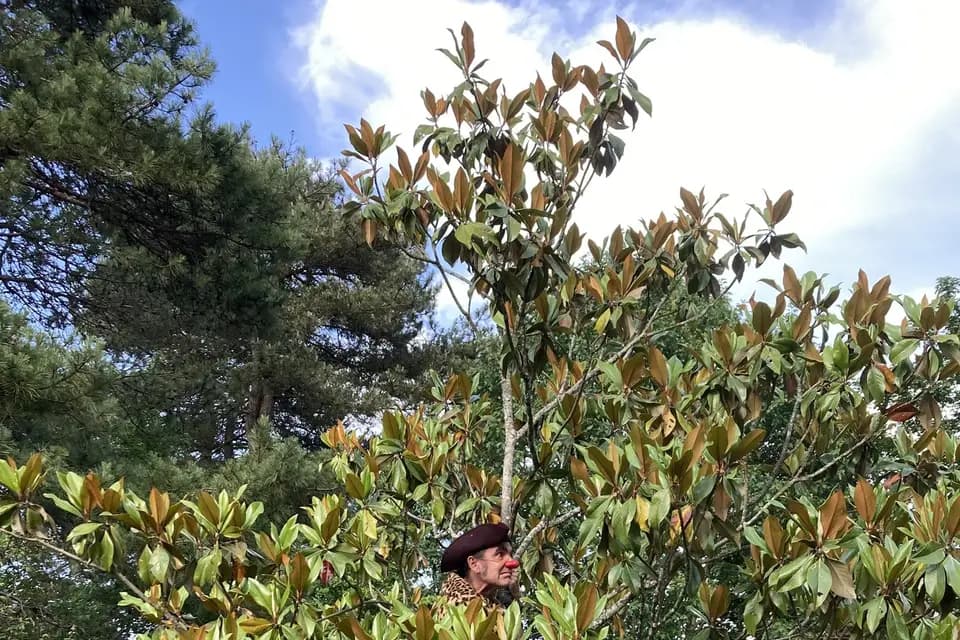 Les Turbulents — photo 8