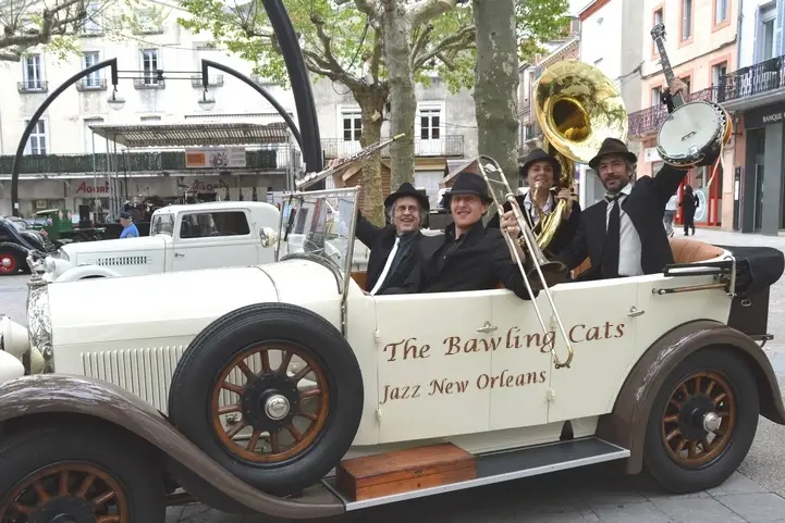 The Bawling Cats — photo 2