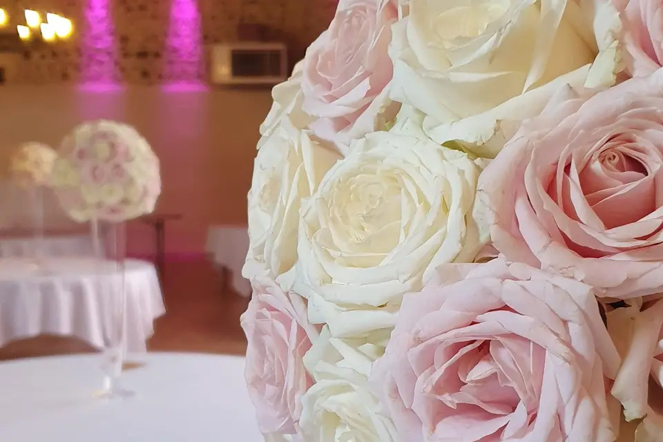 Ô delà des Fleurs — photo 9