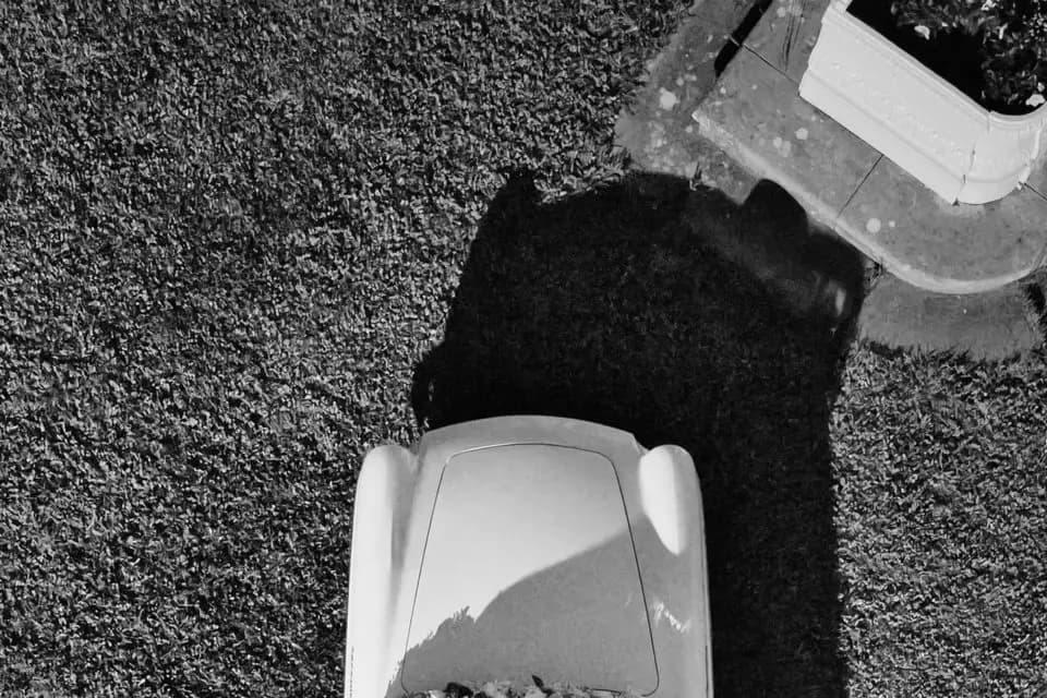 Max D’images — photo 7