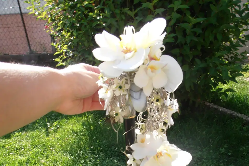 Eleboria - Créations Florales — photo 7